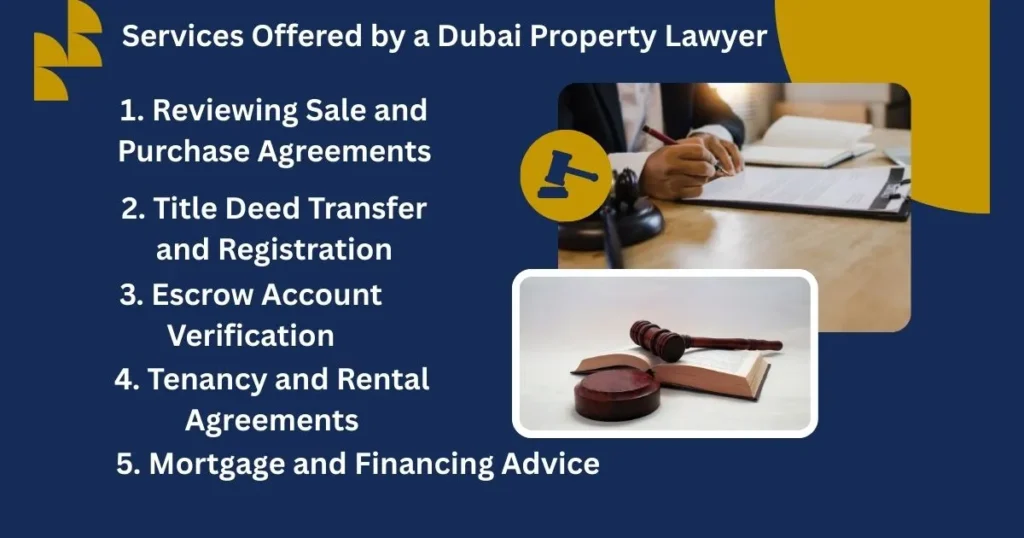 Dubai property lawyer giving legal advice on real estate documents